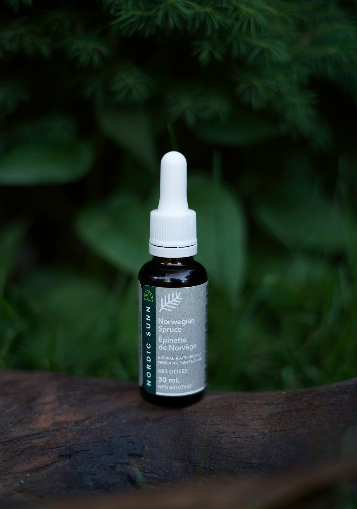 Nordic Sunn - Discover the Magic of Norwegian Spruce Extract – Nordic ...